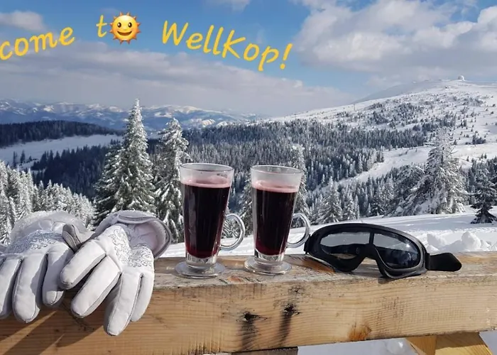 Apartament Wellkop *