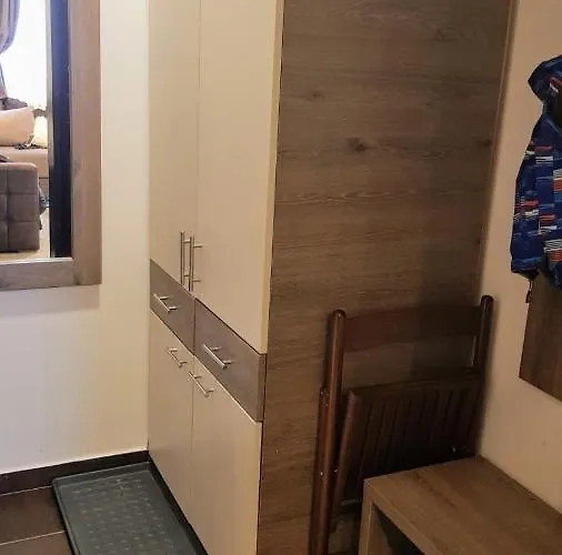 Apartament Wellkop *