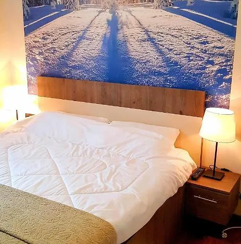 Apartament Wellkop *